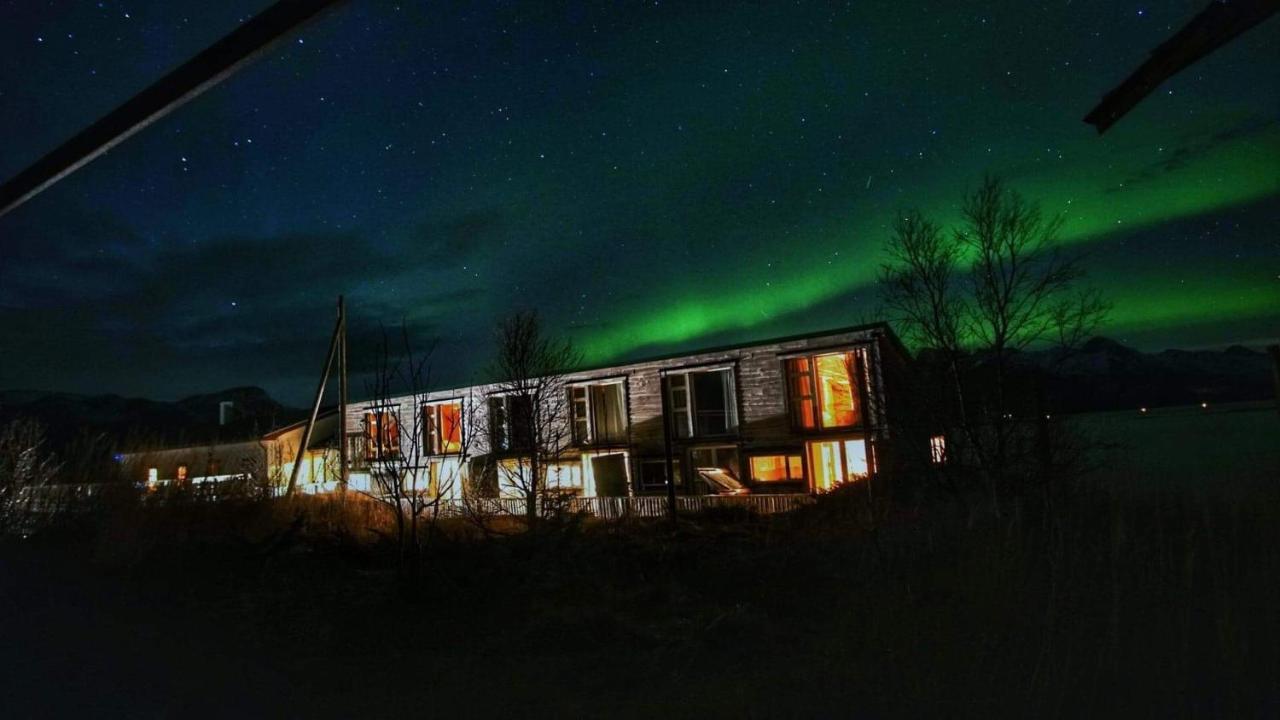 Bed and Breakfast Risvaer Brygger Digermulen Экстерьер фото